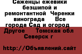 Саженцы ежевики безшипой и ремонтантной. Черенки винограда . - Все города Сад и огород » Другое   . Томская обл.,Северск г.